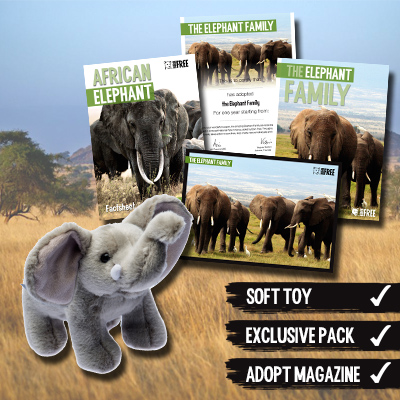 Buy Sponsor An Animal | UP TO 59% OFF