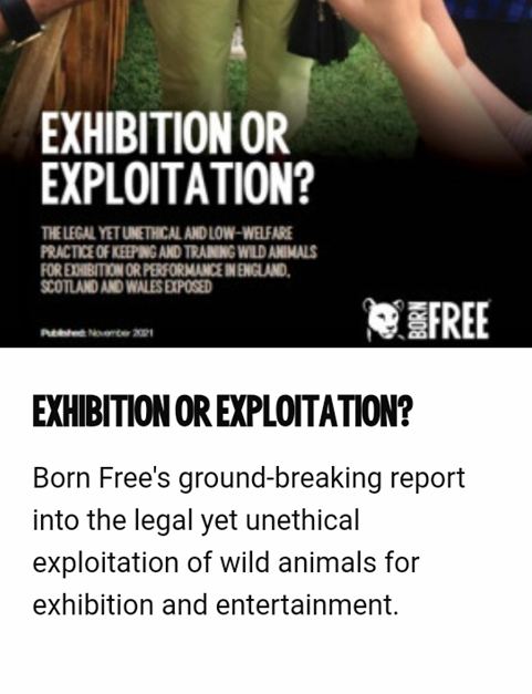 Captive Wild Animals Used in Entertainment | Born Free