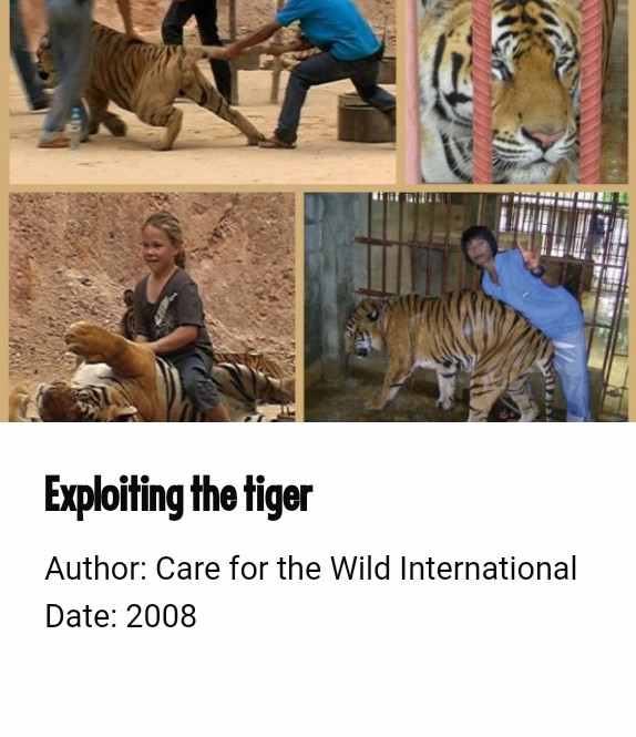 Captive Wild Animals Used in Entertainment | Born Free
