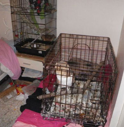 UK COUPLE CHARGED AFTER PETS AND EXOTIC ANIMALS FOUND IN SQU