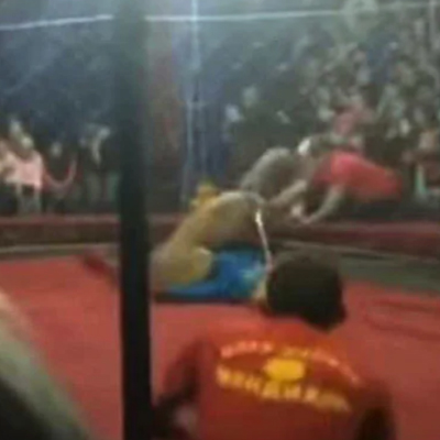 CHILD ATTACKED BY LION IN RUSSIAN CIRCUS