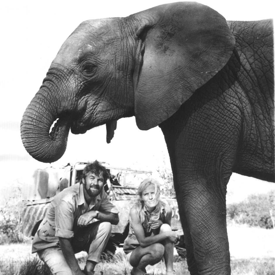 Pole Pole the elephant with Virginia McKenna and Bill Travers