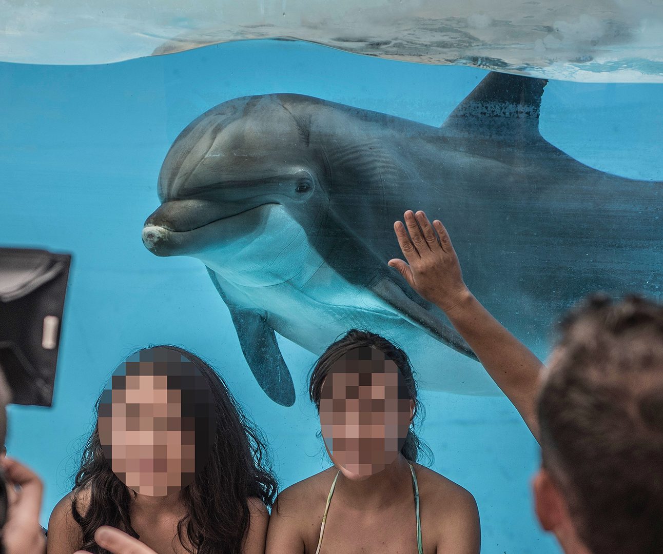 People pose for a photo in front of a dolphin inside a glass tank
