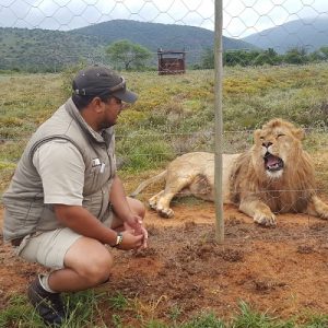 Glen Vena with a rescued lion at Shamwari