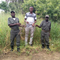 Isaac Banda with rangers and wire snare