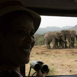 Norah Njiraini observing a herd of elephants from inside a vehicle