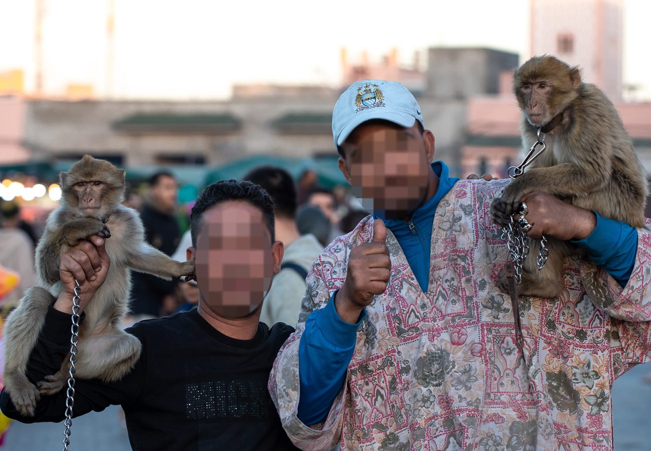 Two men with blurred faces posing with macaques on chains
