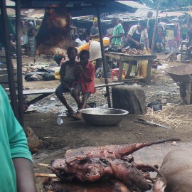 Unidentified cooked bushmeat in the foreground, and people cooking in the background