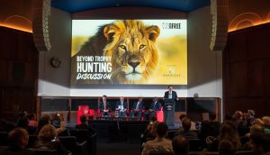 View of a large projector screen behind a panel of speakers and the backs of the heads of the audience