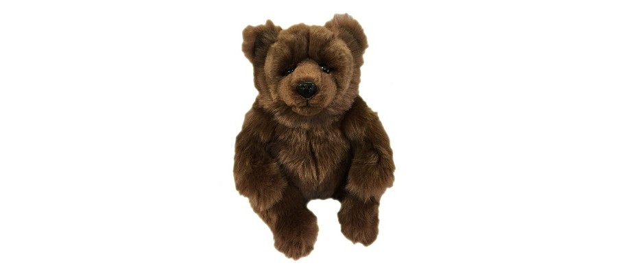 Adopt JB the Male Brown Bear