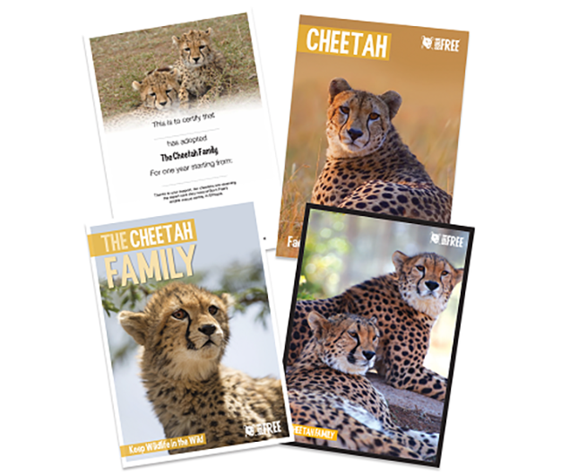 Adopt a Cheetah Adoption Pack Included Born Free