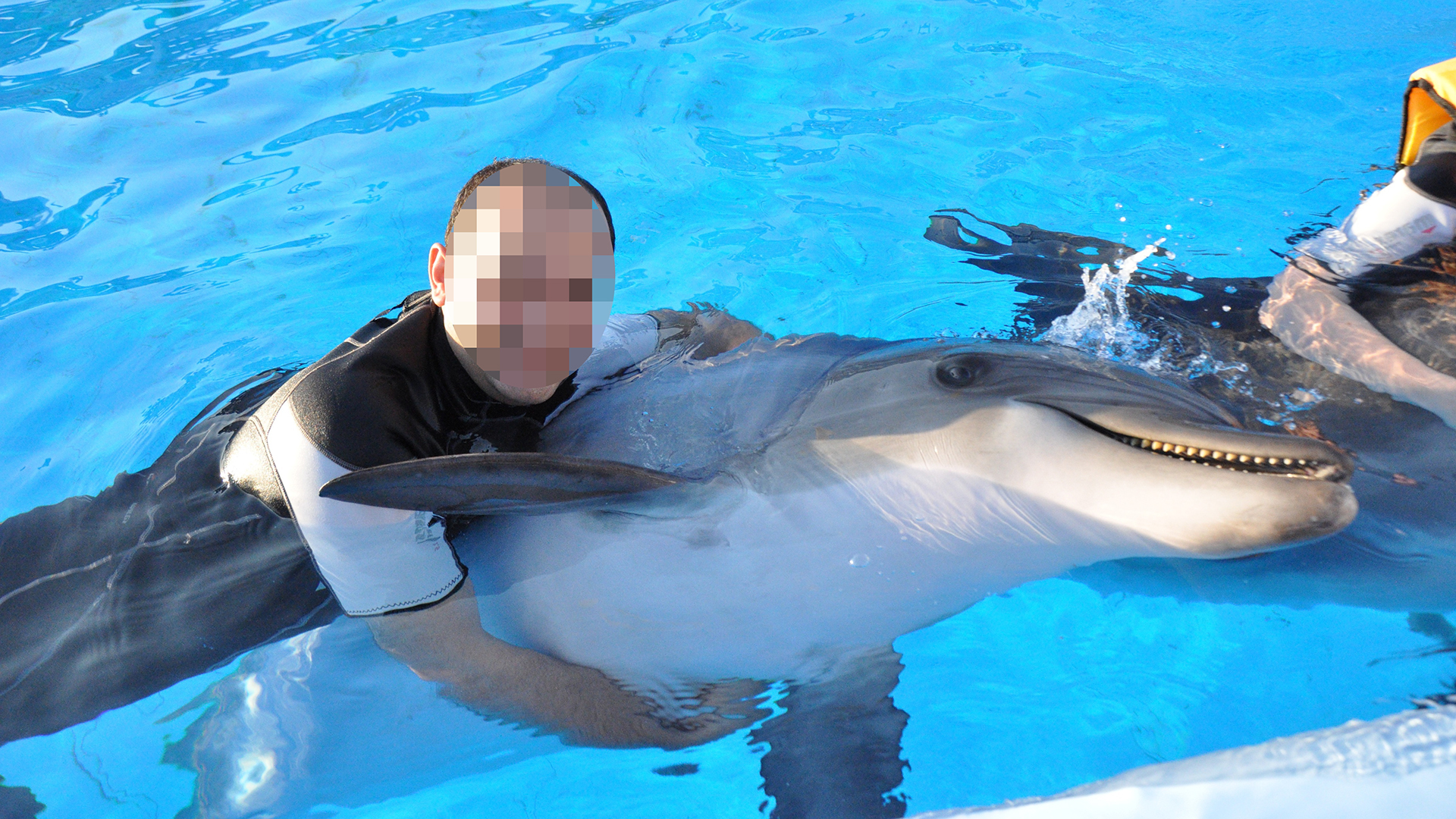 A man in a swimming pool cradling a captive dolphin.