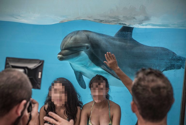 Dolphin photo prop © Britta Jaschinski, Born Free Foundation