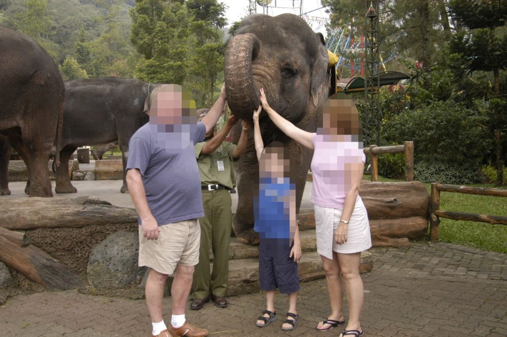 A family of three people standing with a captive elephant in a zoo. All three people are touching the elephant's face.