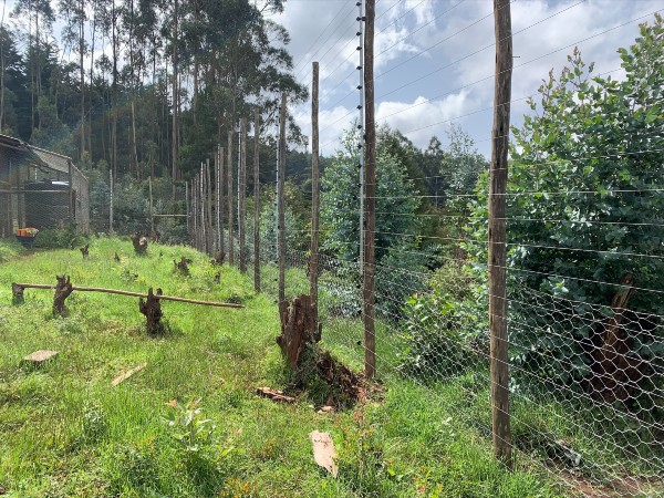 A tall fence line in a grassy landscape