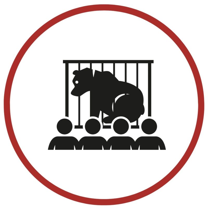 Icon of a bear in a cage with people in front, in a red circle