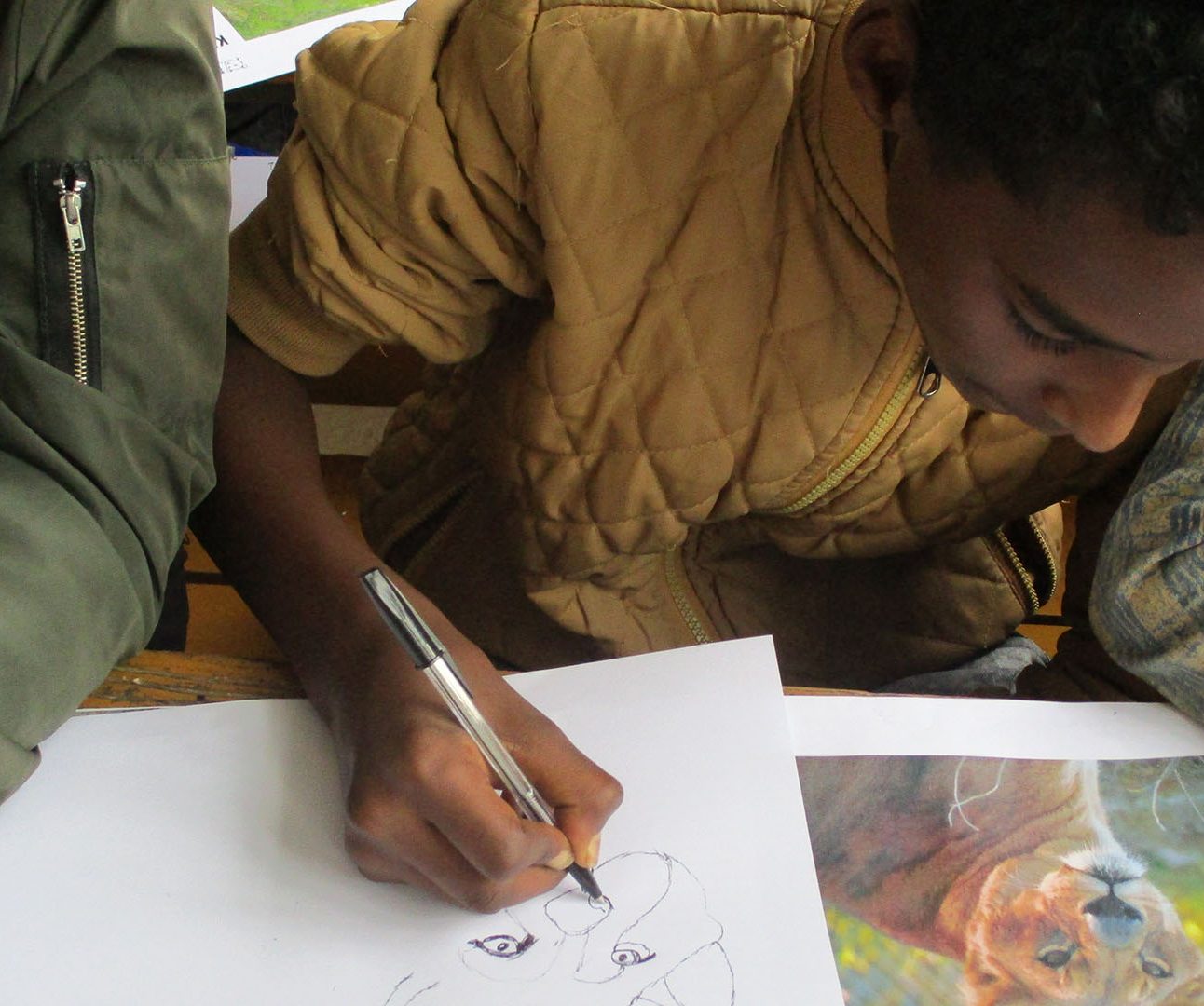 A boy leans over a desk holding a pencil, drawing a lion from a photo