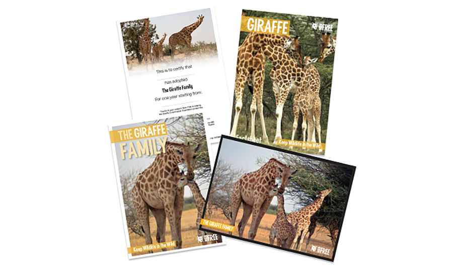 Giraffe adoption pack