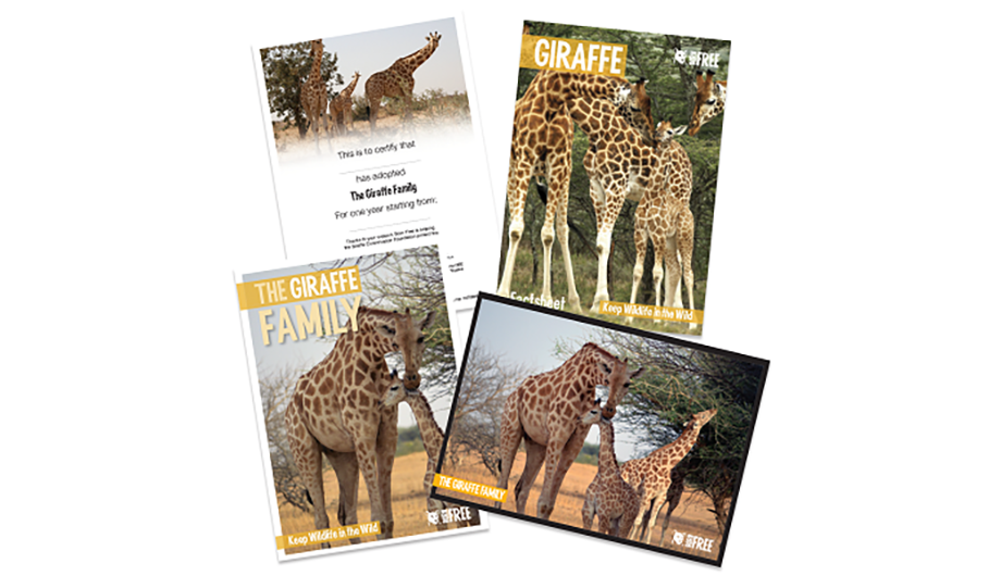 Giraffe adoption pack