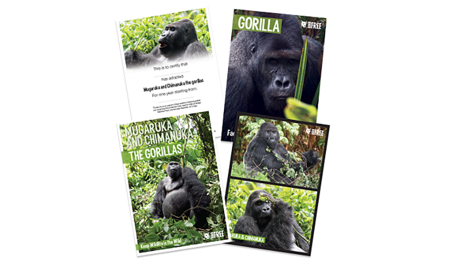 Gorilla adoption pack