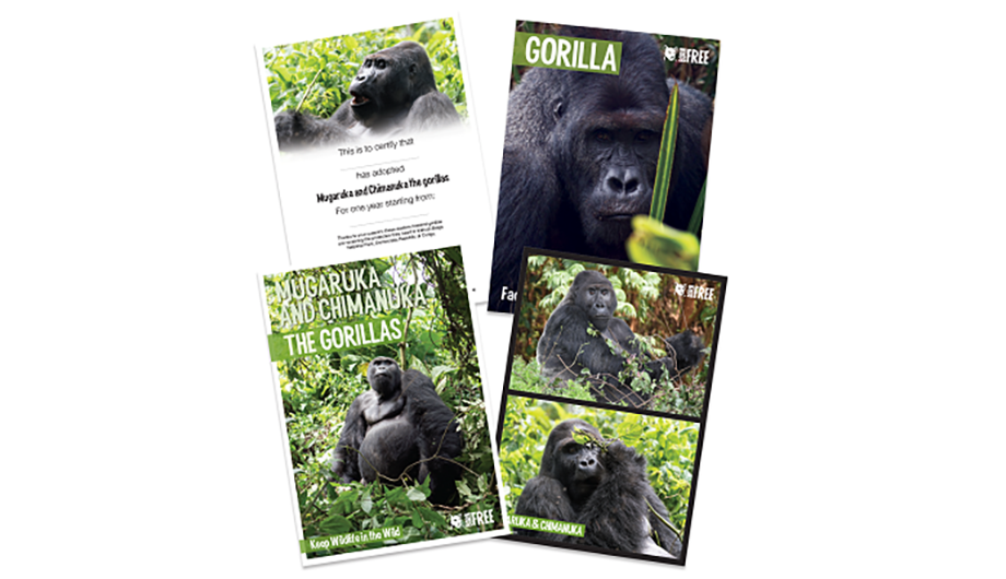 Gorilla adoption pack