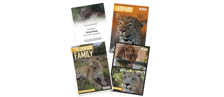A montage of the leopard adoption pack