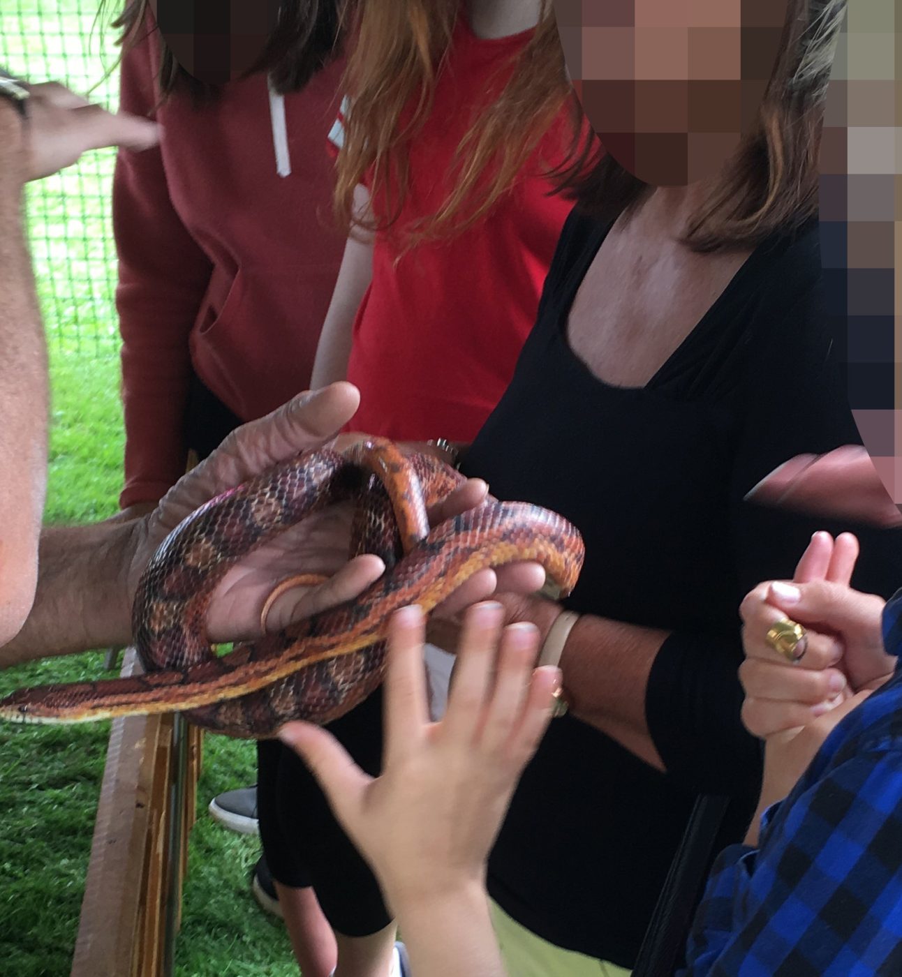 AA young boy is handling a snake while adults look on
