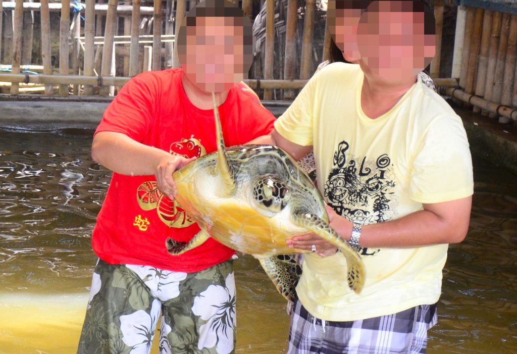 Two people hold a large sea turtle up in the air