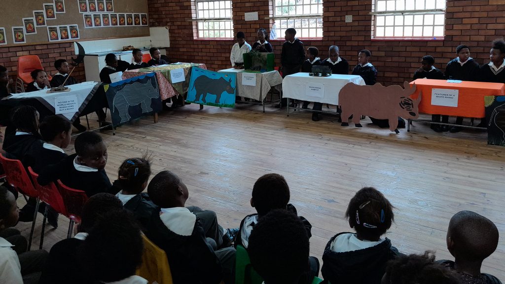 A group of school children sit at desks arranged in a horseshoe, with posters about rhinos presented on the desks