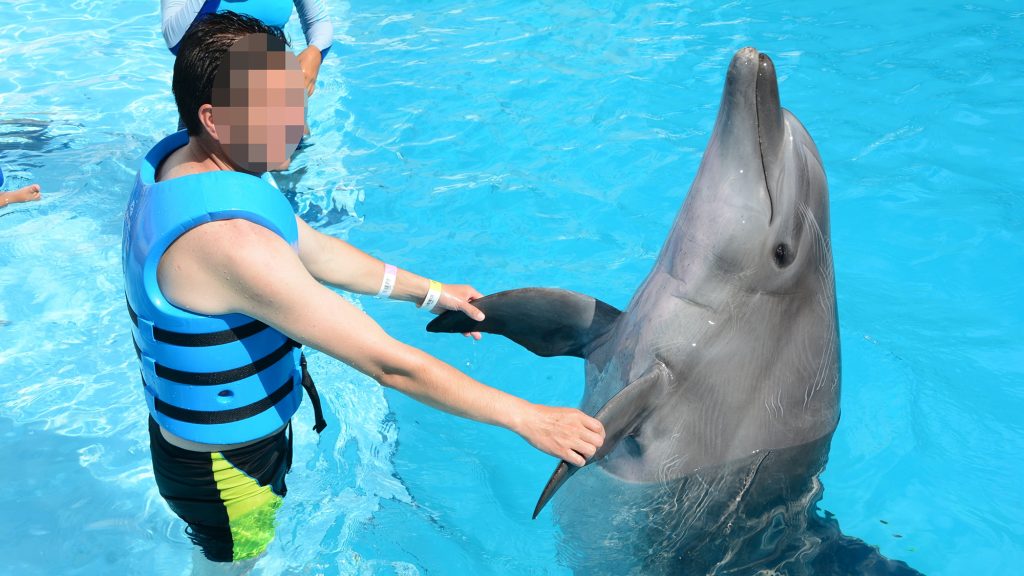 A boy in life vest holds the fins of a dolphin in a pool