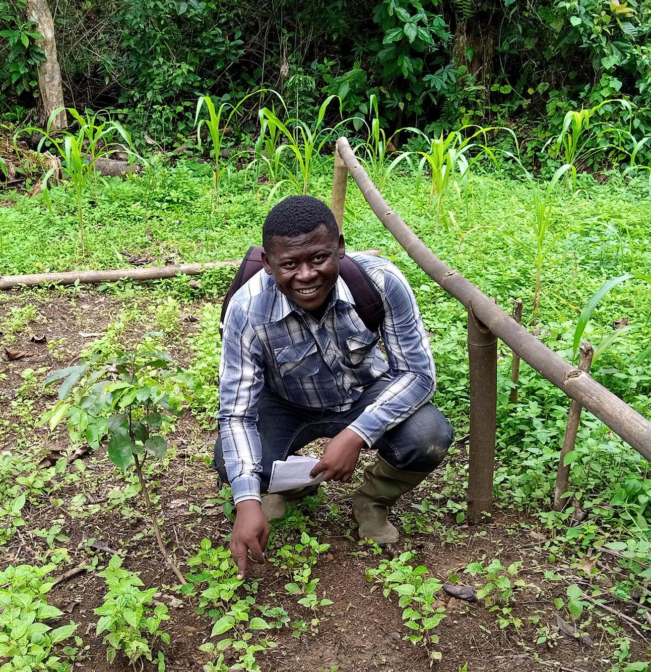 Tekou Ngunte Herve crouching amongst small crops