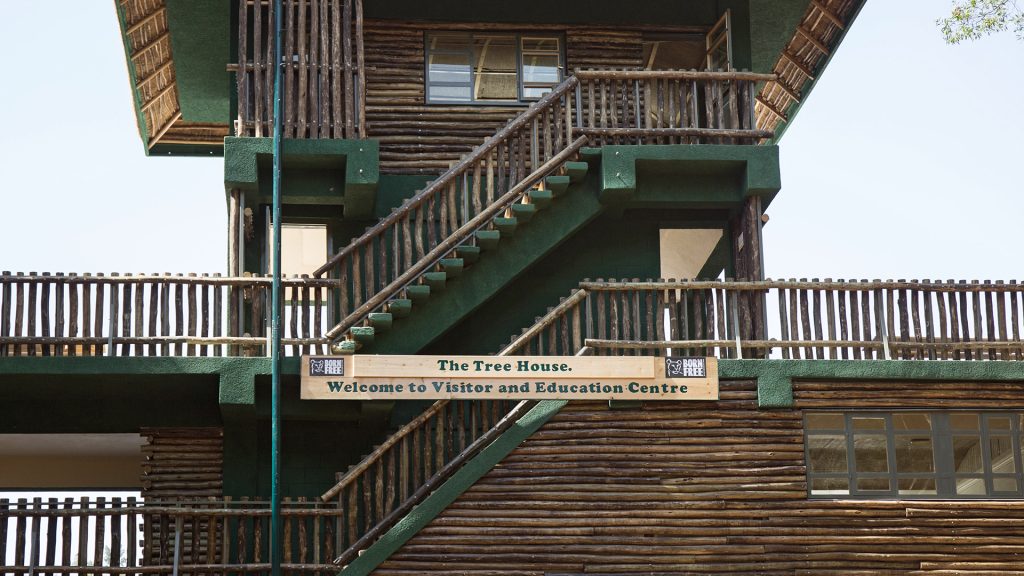 The Tree House Visitor and Education Centre at Ensessa Kotteh