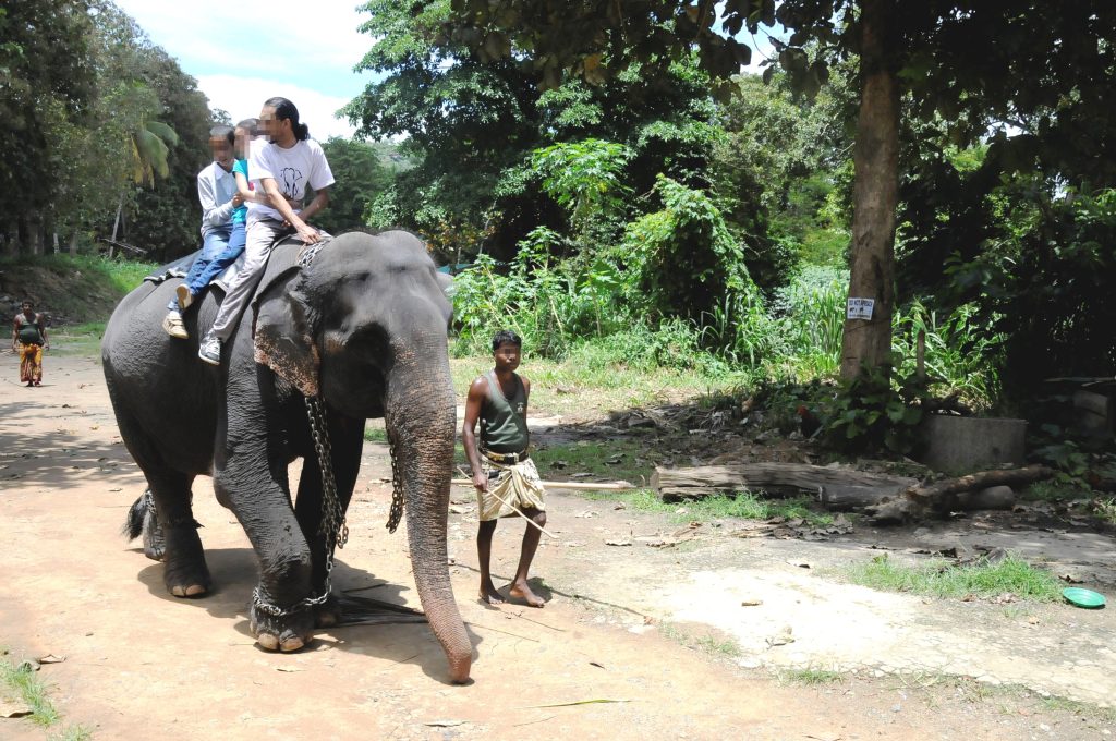 Three people riding an elephant.