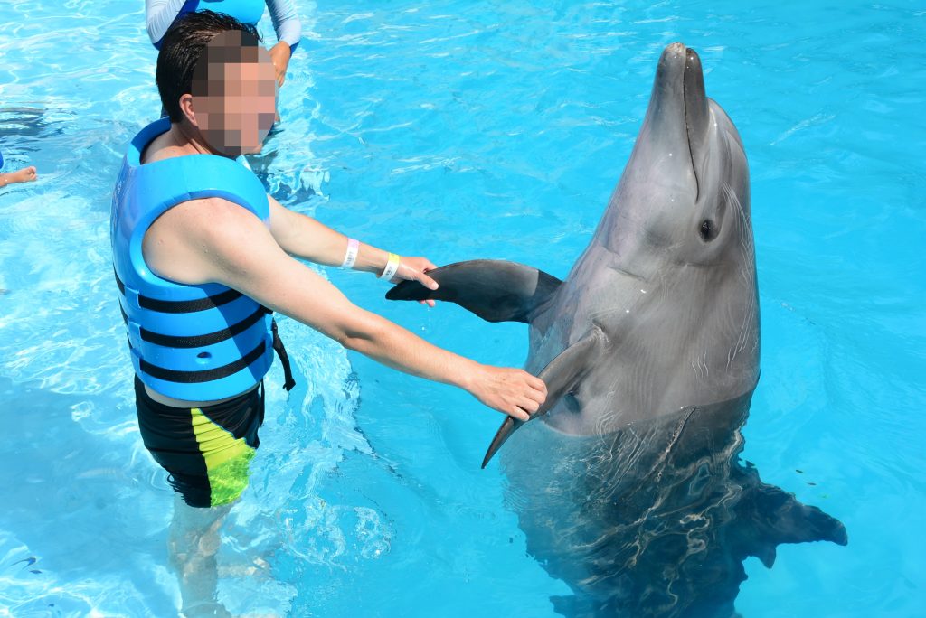 A man standing in a pool with a dolphin which is emerging upright from the water. The man is holding onto the dolphin's fins.