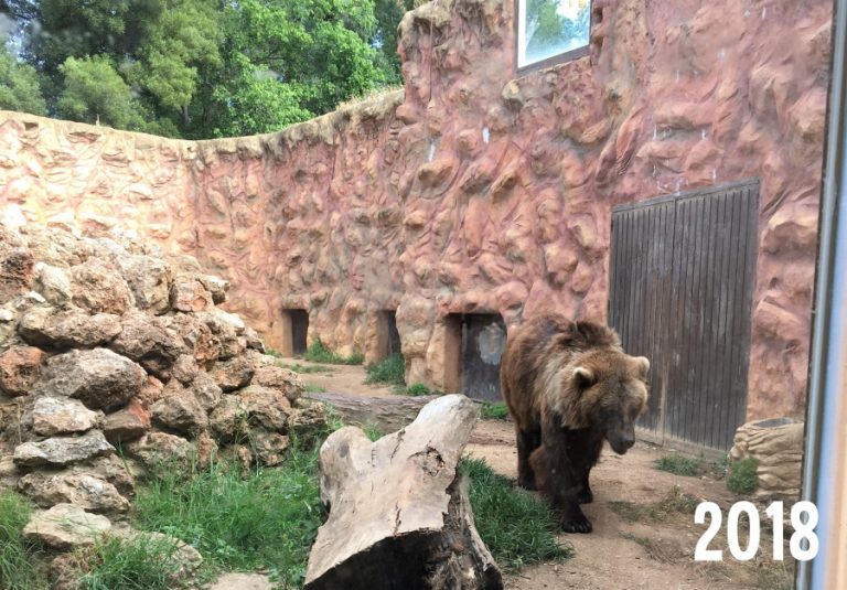 AYAMONTE ZOO GALLERY