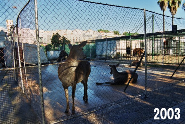 AYAMONTE ZOO GALLERY