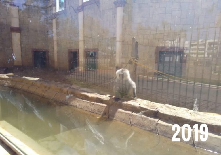 AYAMONTE ZOO GALLERY