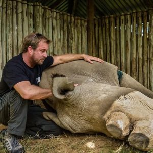 Dan Richardson with Sudan, the last ever male northern white rhino