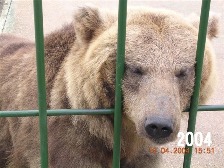 AYAMONTE ZOO GALLERY