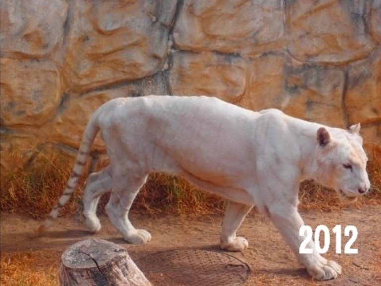 AYAMONTE ZOO GALLERY