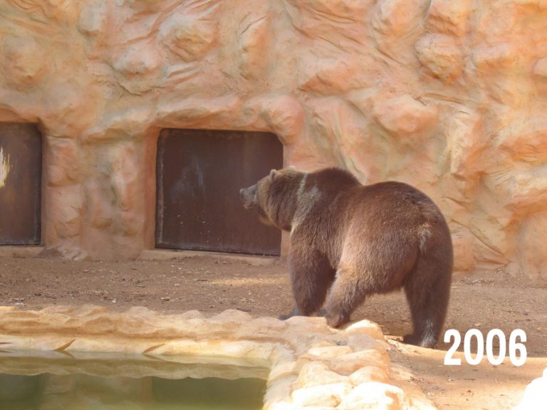 AYAMONTE ZOO GALLERY