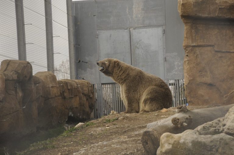 MARINELAND GALLERY