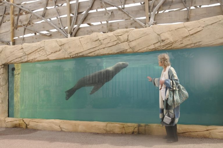 MARINELAND GALLERY