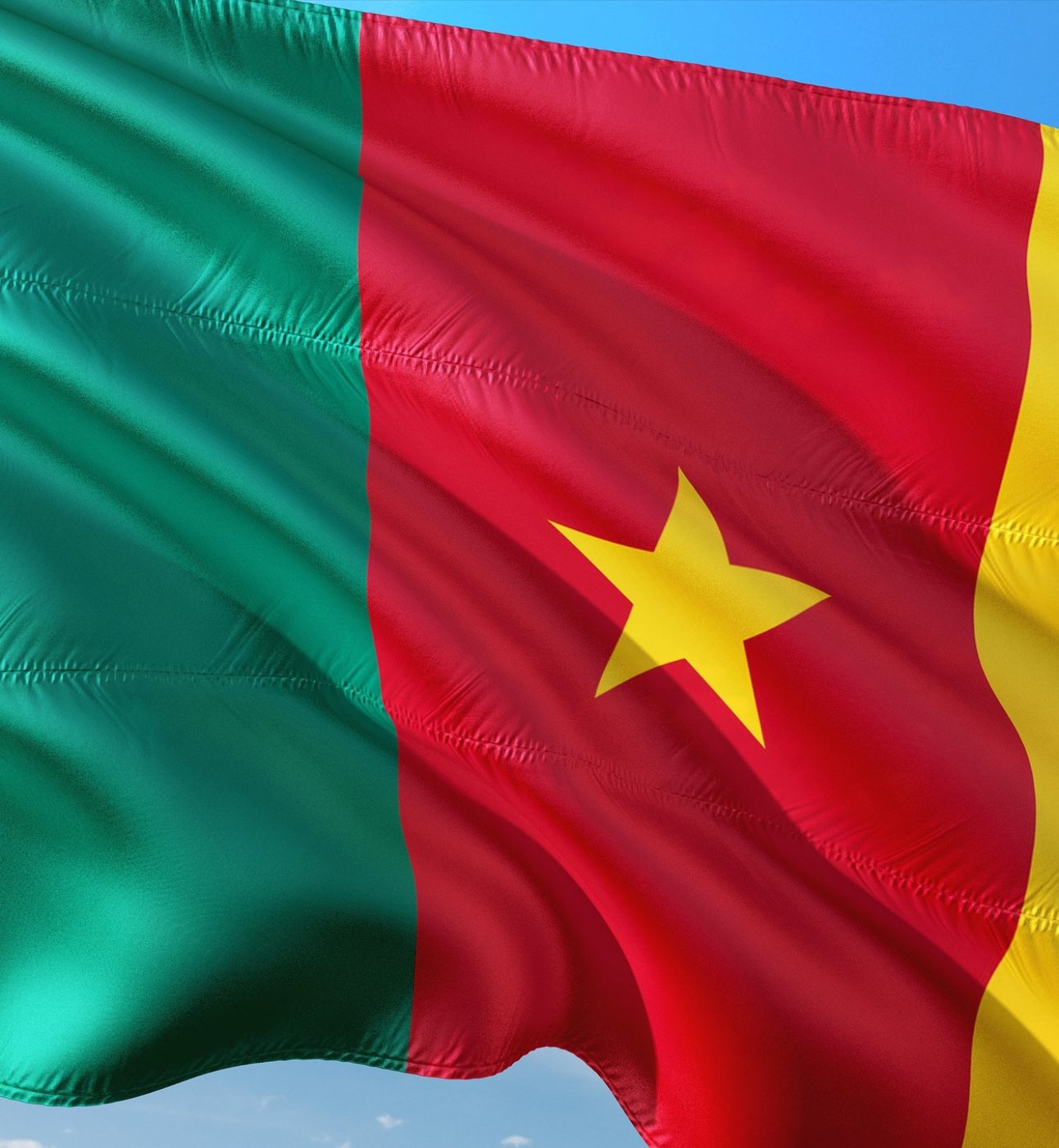 National flag of Cameroon