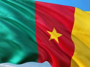 National flag of Cameroon