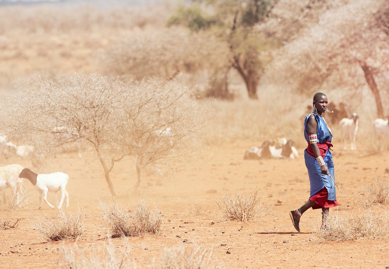 A Maasai woman is walking through a dry Kenyan landscape with some livestock in the background