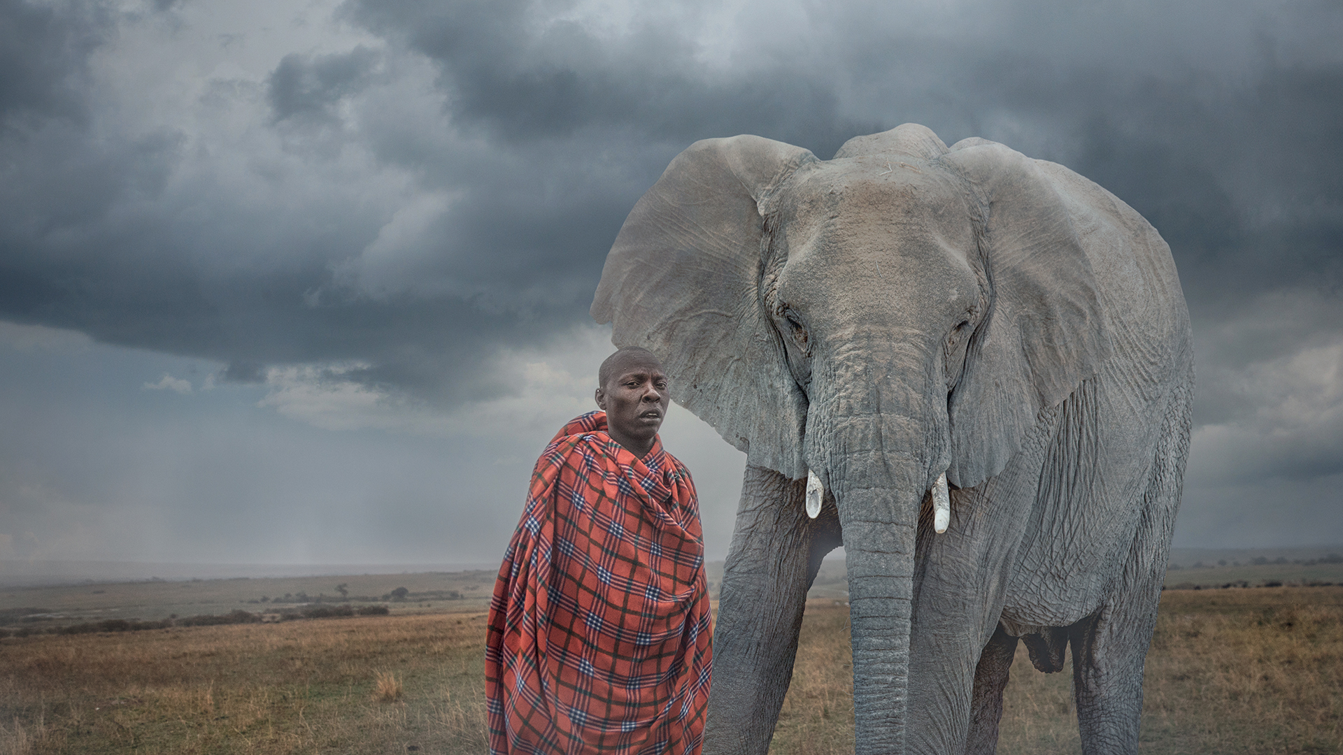 A Maasai tribesperson in red robes is superimposed standing next to an African elephant in a stormy landscape