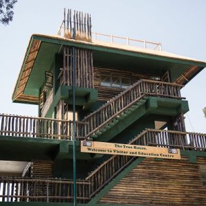 The front of a building with multiple staircases and a sign saying The Tree House Welcome to Visitor and Education Centre 