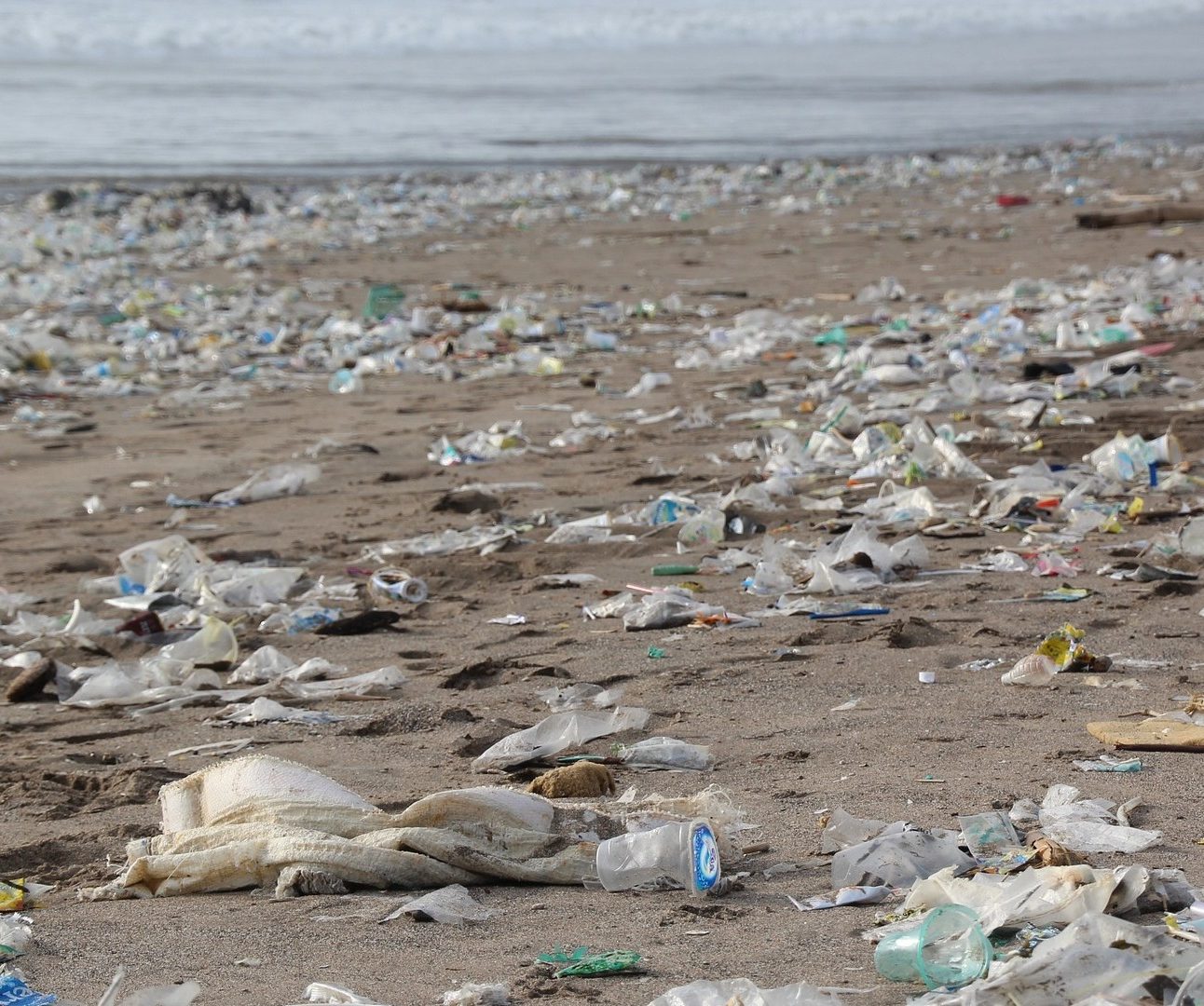 Hundreds of plastic bottles discarded on a beach