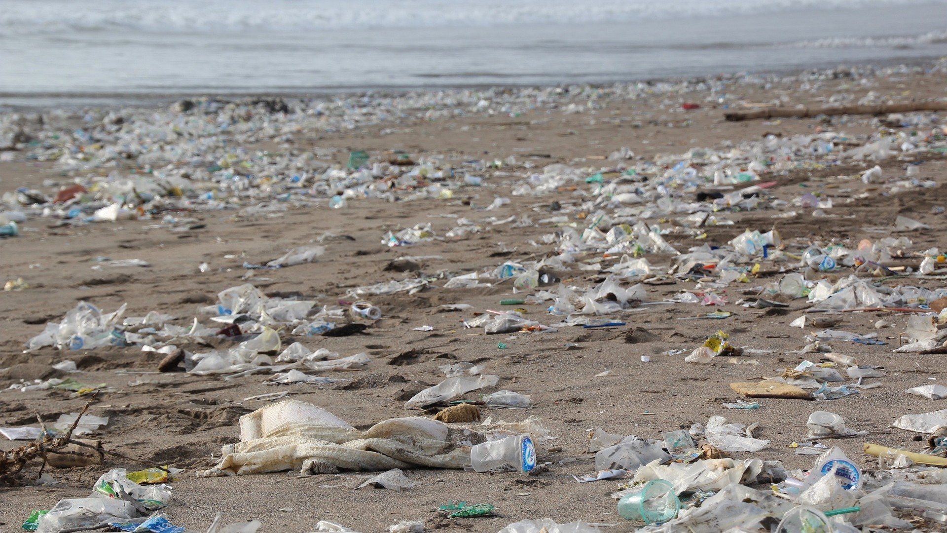 Hundreds of plastic bottles discarded on a beach